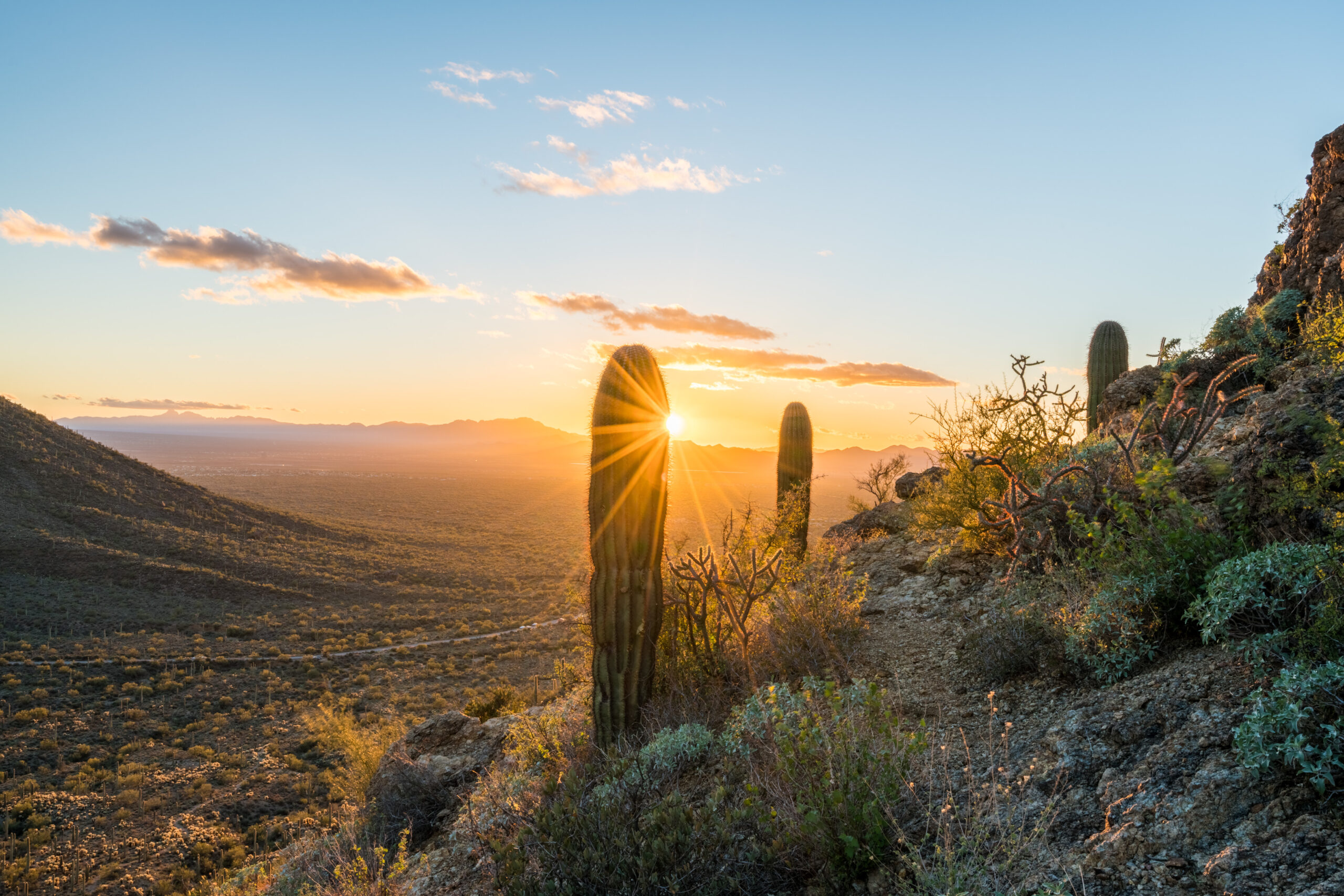 Eden Hospice - Sierra Vista — Hospice and Palliative Care clinic in Sierra Vista, AZ